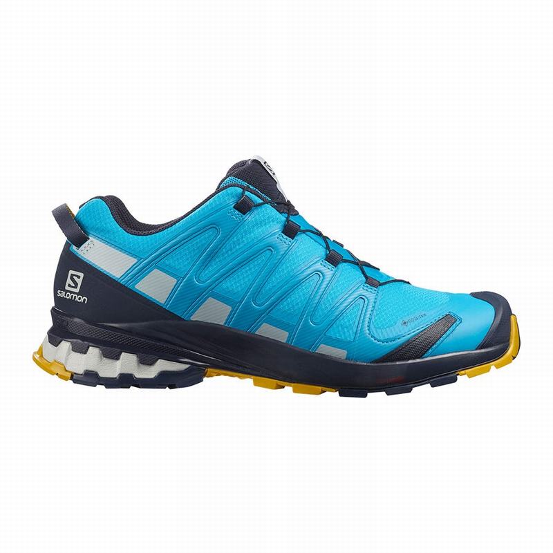 Salomon XA PRO 3D V8 GORE-TEX Zapatillas Trail Running Hombre - Azules - Colombia (45973-KSMA)